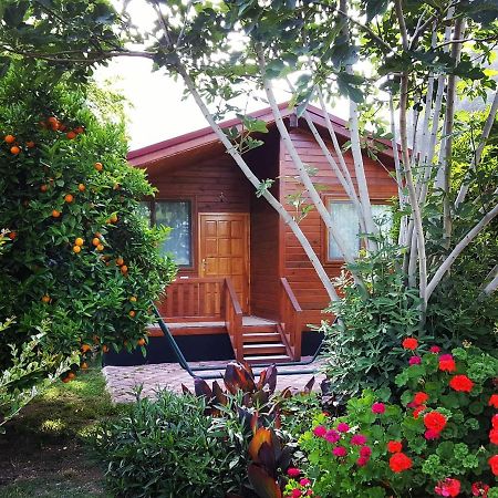 Asya Bungalow Чирали Екстериор снимка