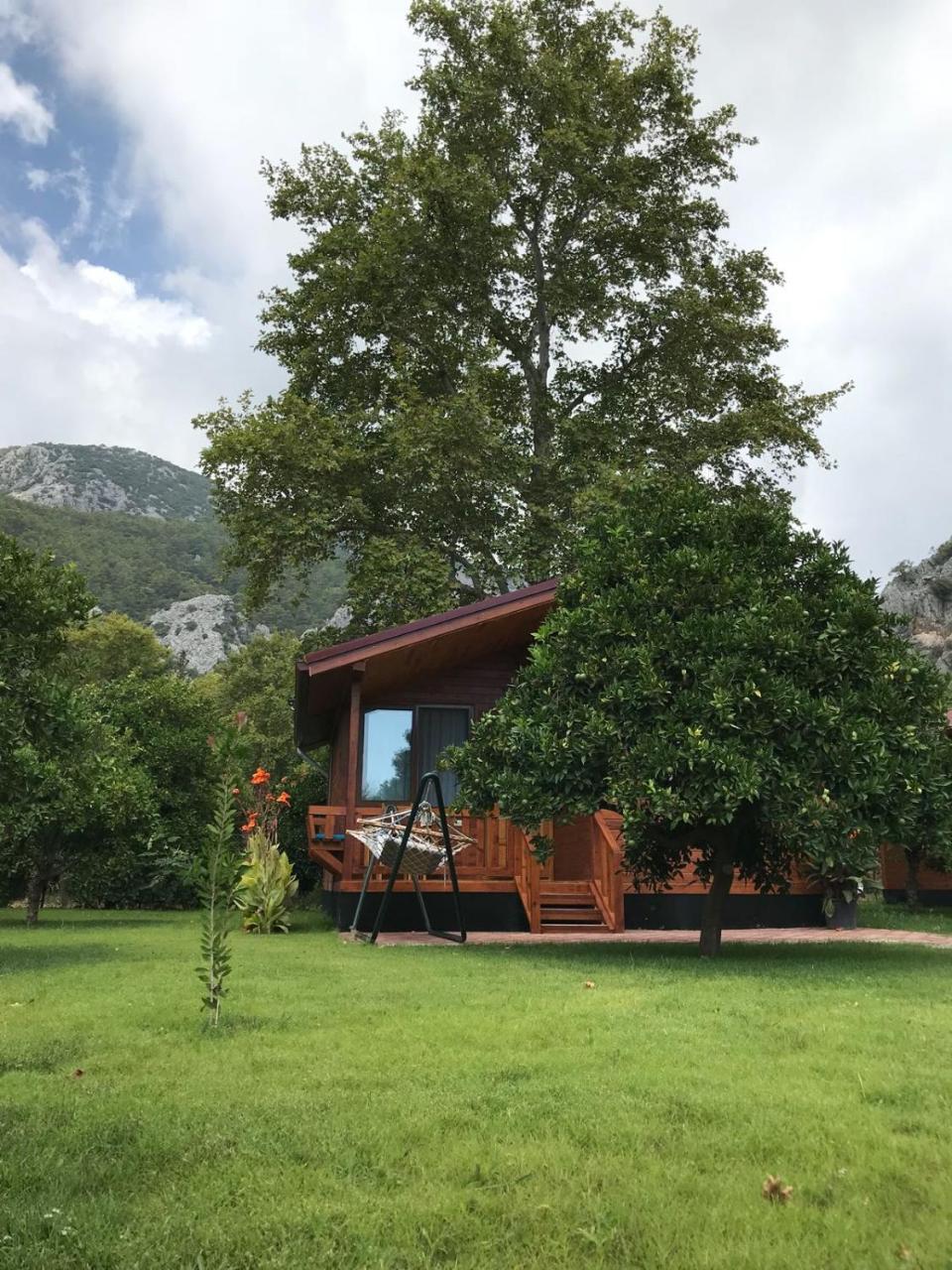 Asya Bungalow Cirali Bed & Breakfast Екстериор снимка